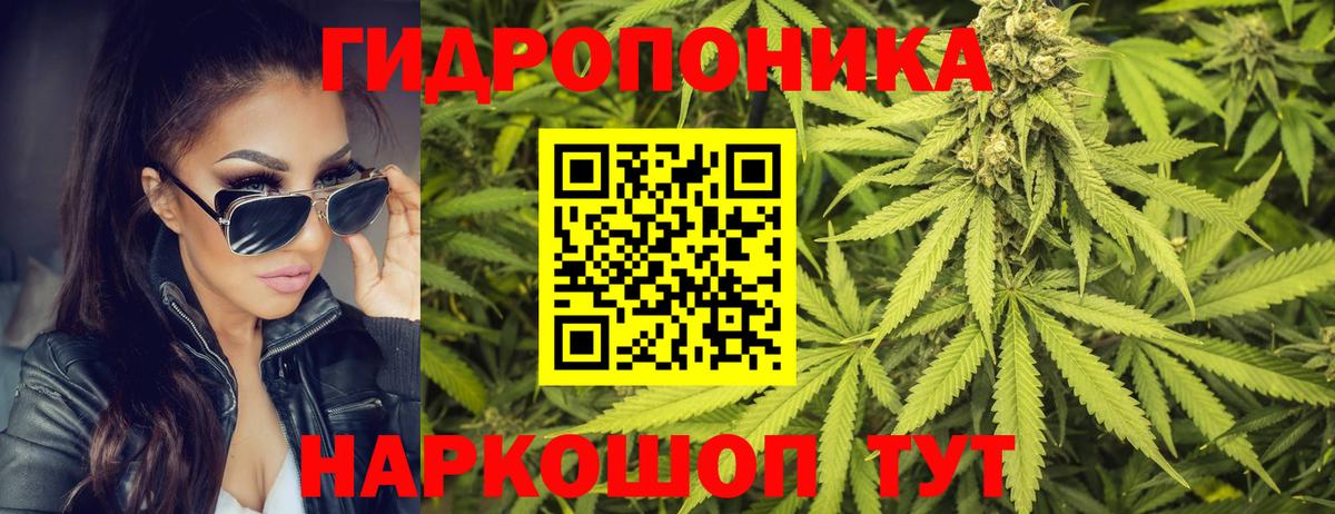 Бошки марихуана SATIVA & INDICA Шали